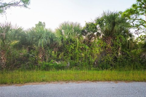 Land in Port Charlotte, Florida № 2213165 - photo 2