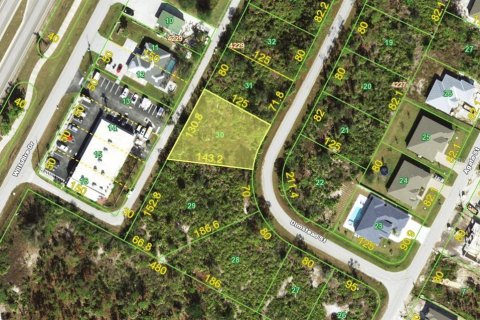 Land in Port Charlotte, Florida № 2213165