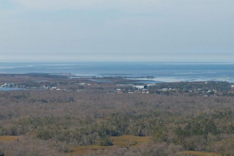 Villa ou maison à vendre à Old Town, Floride: 2 chambres, 2104.33 m2 № 1618136 - photo 22