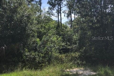 Land in Punta Gorda, Florida № 2224273 - photo 2