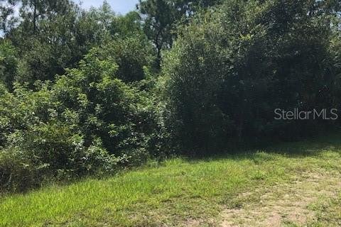 Land in Punta Gorda, Florida № 2224273 - photo 3