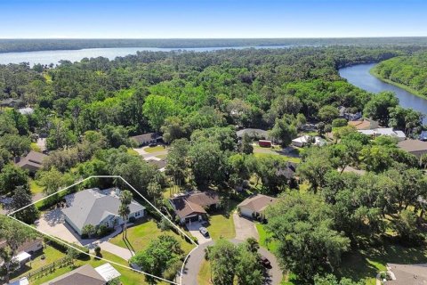 Villa ou maison à vendre à DeLand, Floride: 4 chambres, 292.18 m2 № 1644637 - photo 2