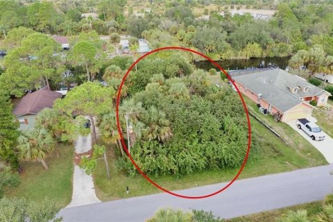 Land in Port Charlotte, Florida № 2206862 - photo 8