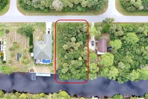 Land in Port Charlotte, Florida № 2206862 - photo 9