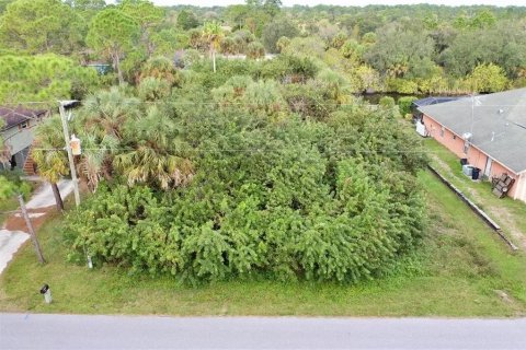Land in Port Charlotte, Florida № 2206862 - photo 3