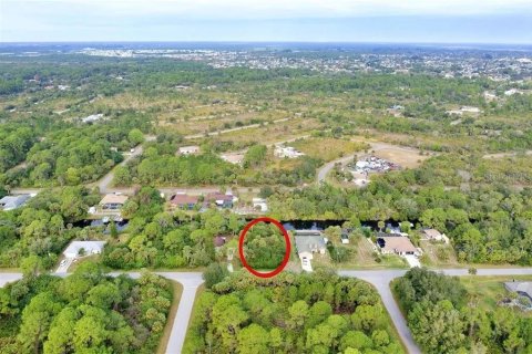 Land in Port Charlotte, Florida № 2206862 - photo 6