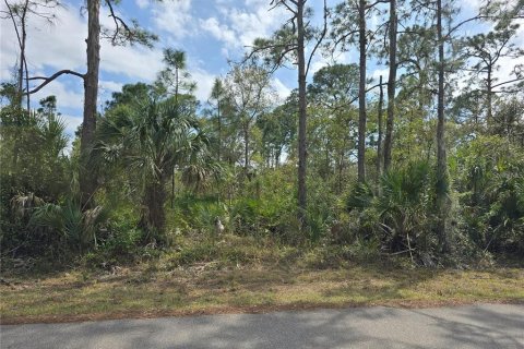 Land in Port Charlotte, Florida № 2239494