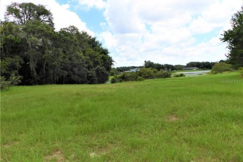 Land in Inverness, Florida № 2105284