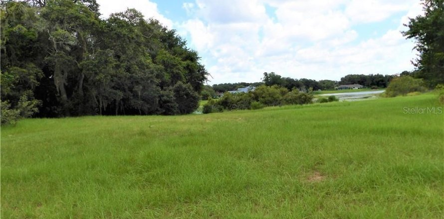 Land in Inverness, Florida № 2105284