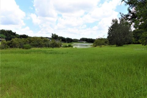 Land in Inverness, Florida № 2105284 - photo 2