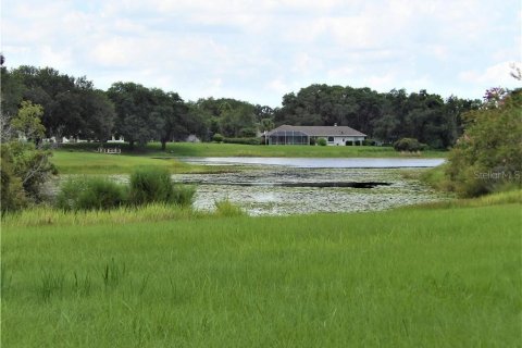 Land in Inverness, Florida № 2105284 - photo 3