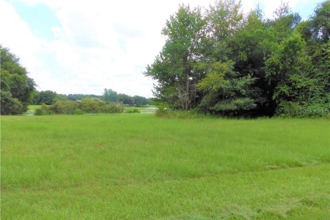 Land in Inverness, Florida № 2105284 - photo 5