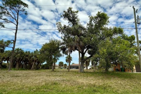Land in Rotonda, Florida № 2162645 - photo 3
