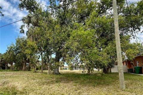 Land in Rotonda, Florida № 2162645 - photo 4