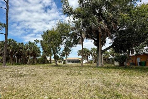 Land in Rotonda, Florida № 2162645 - photo 2