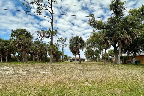 Land in Rotonda, Florida № 2162645