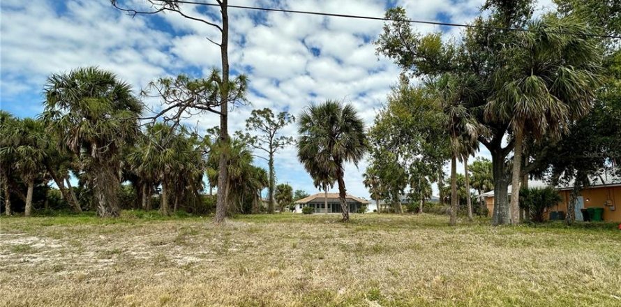 Land in Rotonda, Florida № 2162645