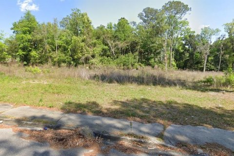 Land in Lake City, Florida № 1750712 - photo 2