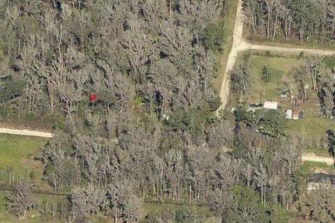 Купить земельный участок в Окала, Флорида № 2163858 - фото 3