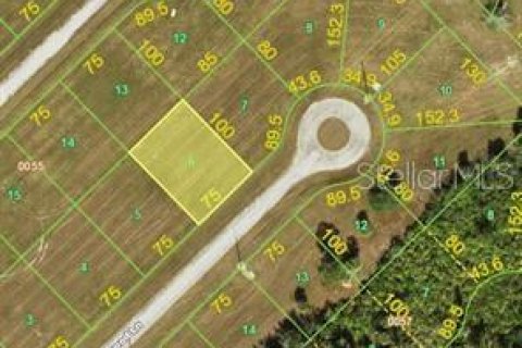 Land in Placida, Florida № 2161697 - photo 2