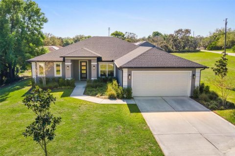 House in Howey-in-the-Hills, Florida 3 bedrooms, 205.31 sq.m. № 2094401