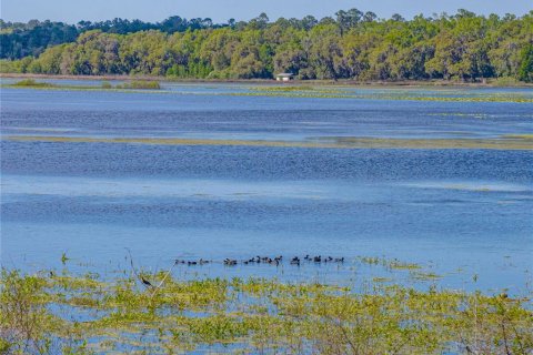Terreno en venta en Dade City, Florida № 1580877 - foto 18
