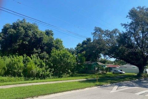 Land in Saint Petersburg, Florida № 1917270 - photo 1