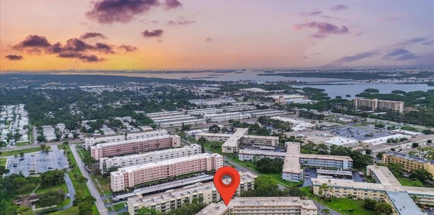 Condo à Saint Petersburg, Floride, 2 chambres № 1771107