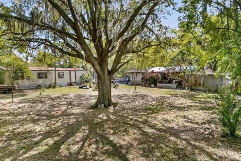 Casa en venta en Winter Haven, Florida, 2 dormitorios, 74.32 m2 № 1538653 - foto 6
