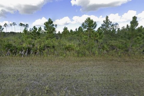 Terrain à Indian lake estates, Floride № 2232148