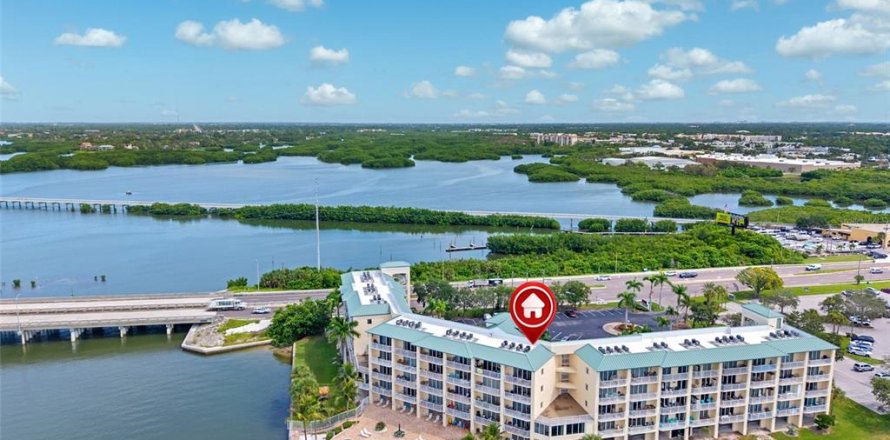 Condo à Saint Petersburg, Floride, 1 chambre  № 1900297