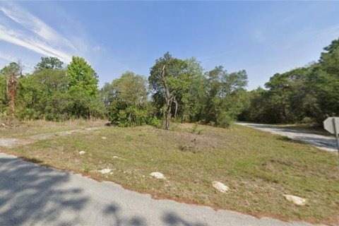 Купить земельный участок в Ситрэс-Спрингс, Флорида № 2206195 - фото 8