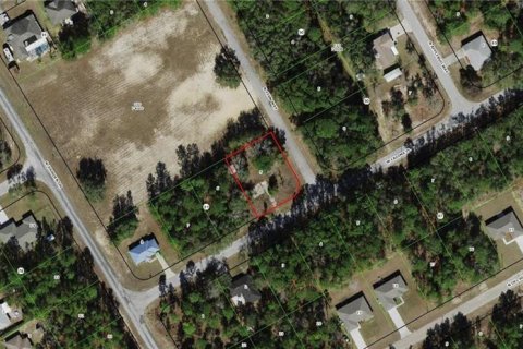 Купить земельный участок в Ситрэс-Спрингс, Флорида № 2206195 - фото 5