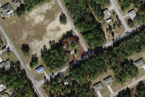 Купить земельный участок в Ситрэс-Спрингс, Флорида № 2206195 - фото 3