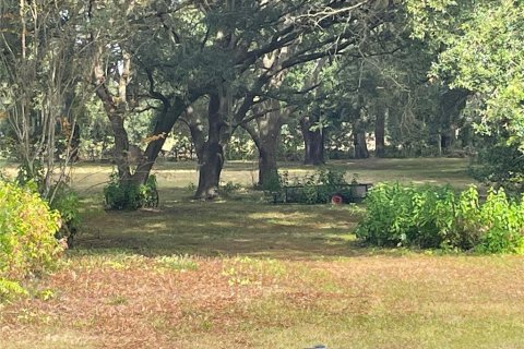Land in Oxford, Florida № 214258 - photo 12