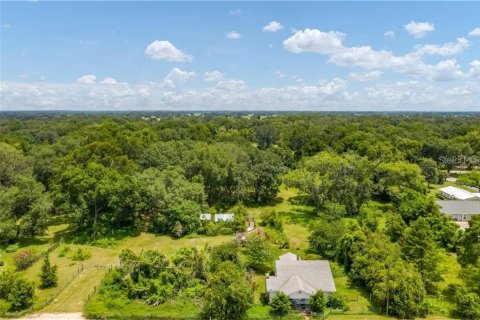 Land in Oxford, Florida № 214258 - photo 3