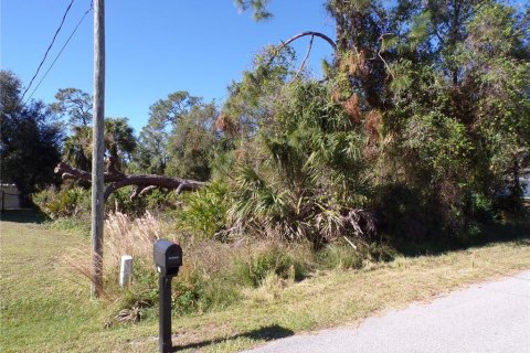 Land in North Port, Florida № 2162799 - photo 9
