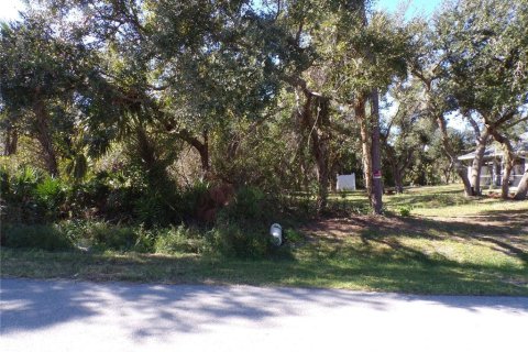 Land in North Port, Florida № 2162799 - photo 5