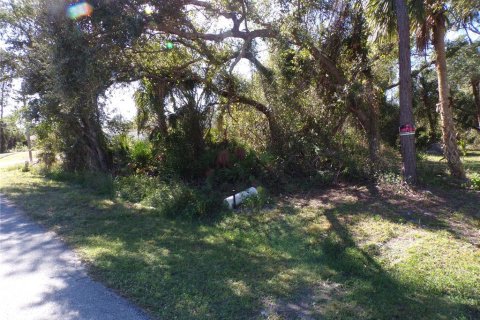 Land in North Port, Florida № 2162799 - photo 6