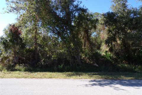 Land in North Port, Florida № 2162799 - photo 3