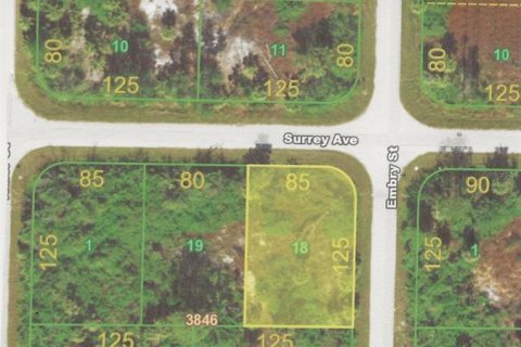 Land in Port Charlotte, Florida № 2160309