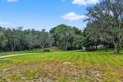 Terreno en venta en Sumter, Florida № 1873380 - foto 7