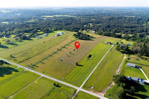 Land in Clermont, Florida № 1885227 - photo 7