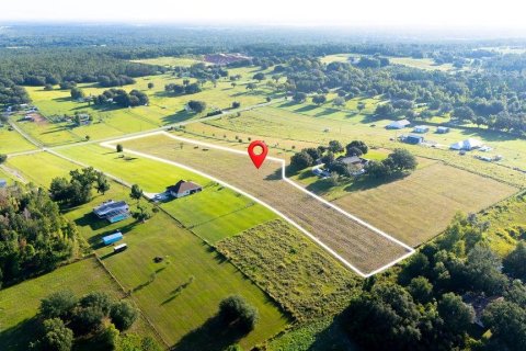 Land in Clermont, Florida № 1885227 - photo 1