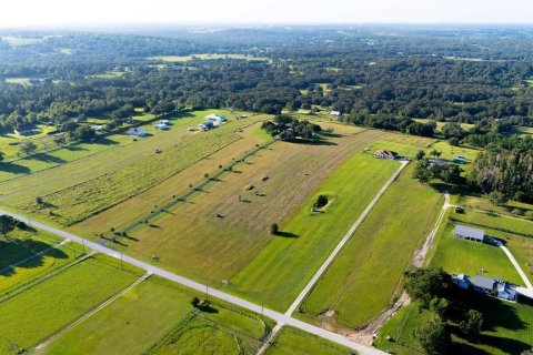 Land in Clermont, Florida № 1885227 - photo 16