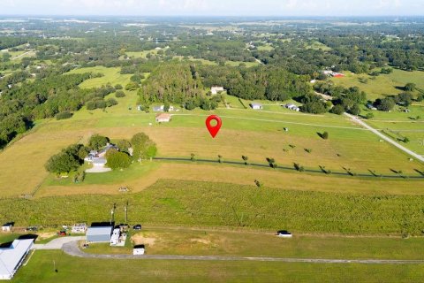 Land in Clermont, Florida № 1885227 - photo 4