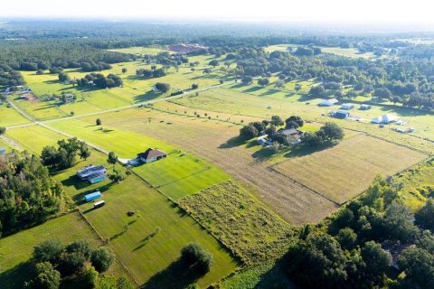 Land in Clermont, Florida № 1885227 - photo 10