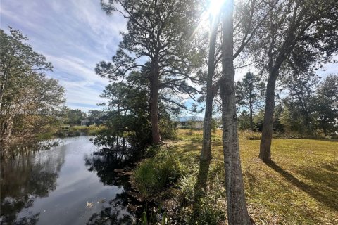 Land in Lake Placid, Florida № 1797003 - photo 14