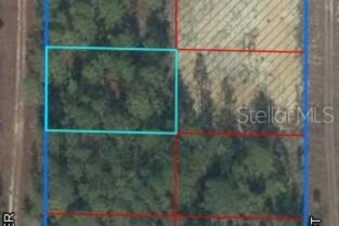 Terrain à Williston, Floride № 2205640