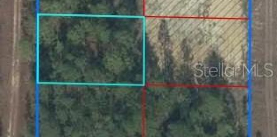Terreno en Williston, Florida № 2205640